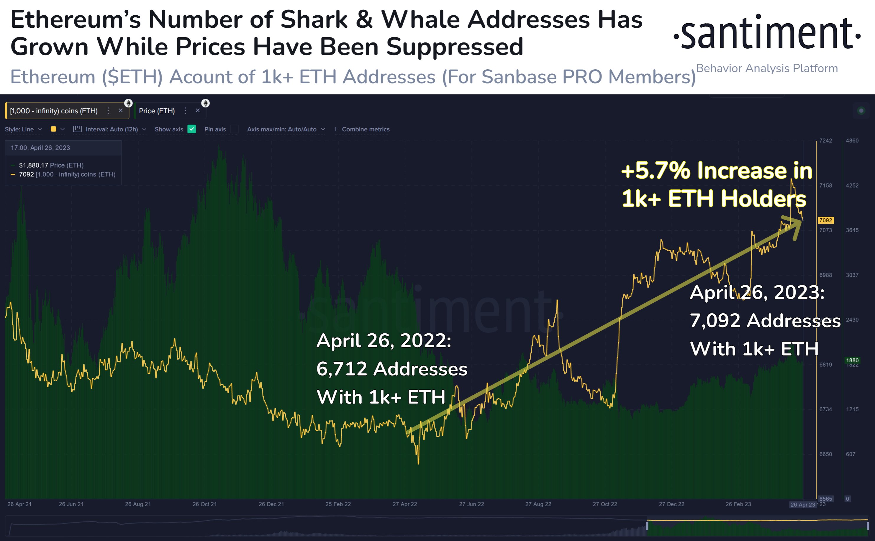 Ethereum Sharks And Whales