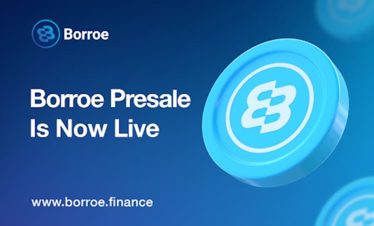 Some traders like Borroe greater than Polkadot & Filecoin
